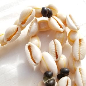 Natural Hawaiian Sea Shell Extra Long Leis